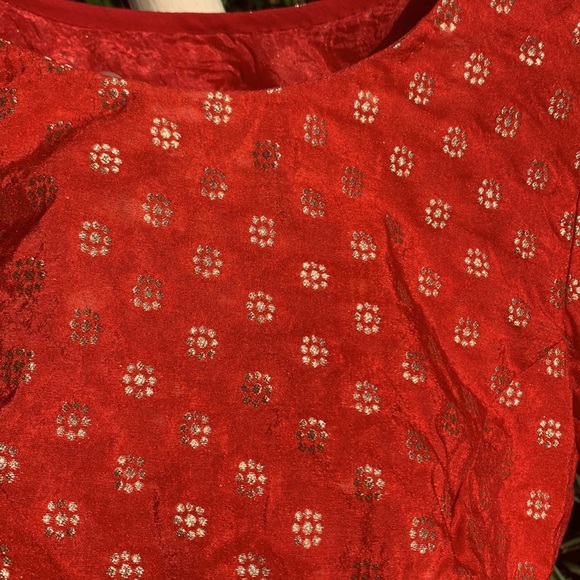 FIERY RED saree blouse with golden thread work. Full back. Zips on sides. - Picture 7 of 9